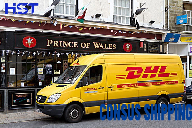  Ups Tnt Fedex Dhl экспресс-доставка из Китая в Мьянмы агенты