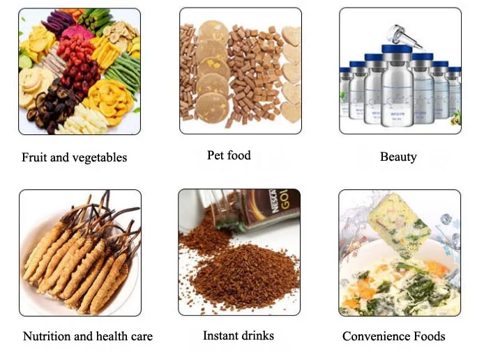 100 sq.m Commercial Vacuum Freeze-Drying Machine Line Pet Food Strawberry Tea