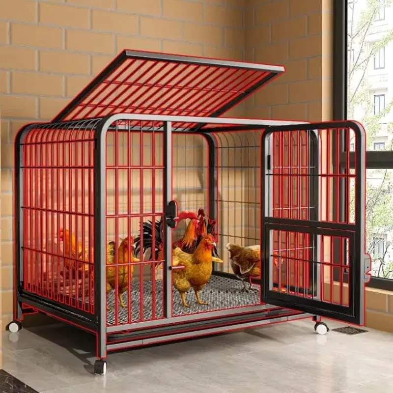 Home Use Breeding cage chicken coop chicken nest automatic manure cleaning duck cages barbed wire outdoor balcony poultry cage