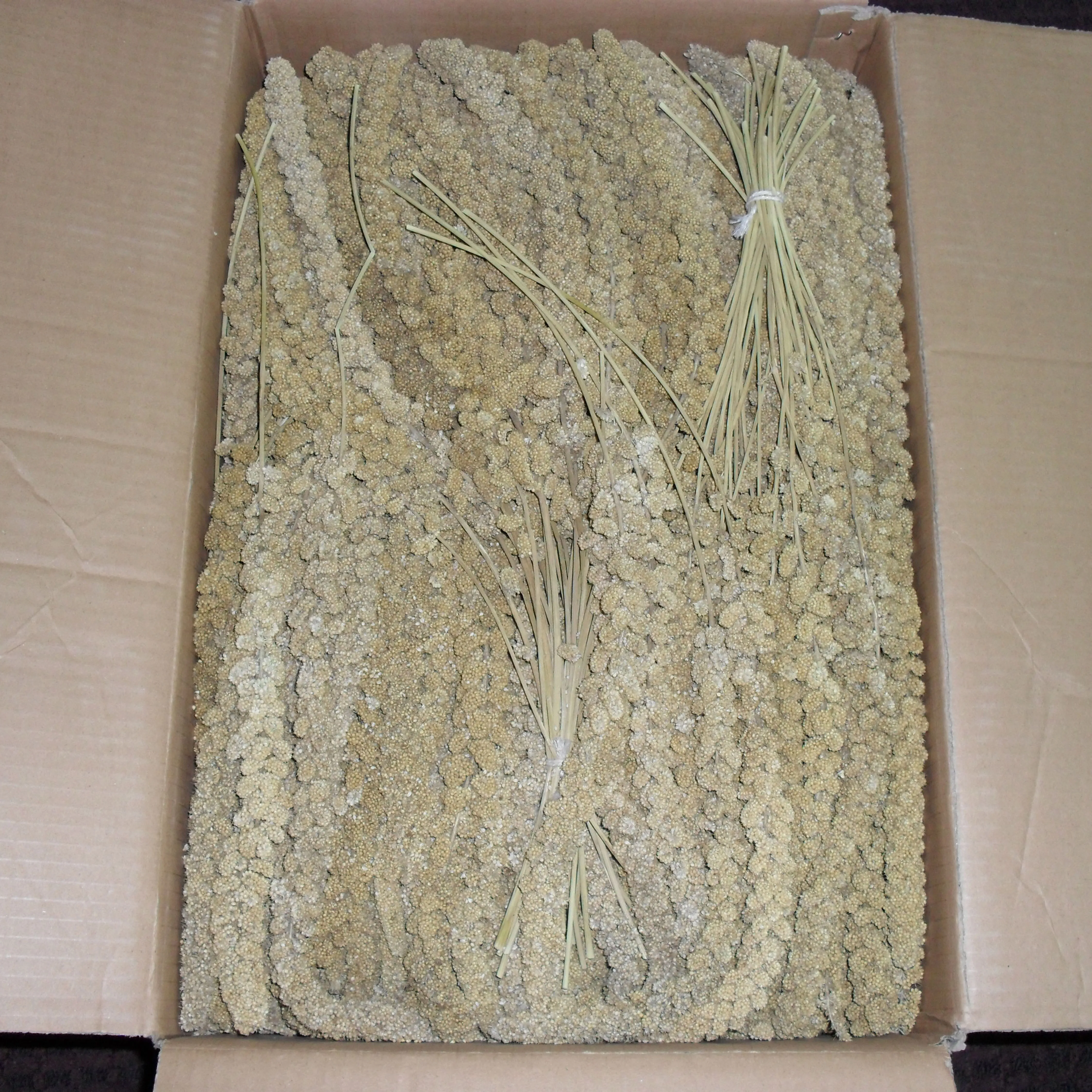 Новый Урожай пса спрей для корма птиц Красный Желтый Хорошее качество индивидуальная упаковка