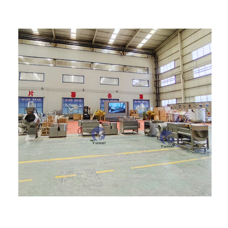 Turkey Automatic Gas 100Kg/H Manufacturing Frozen Long French Fries Making Machine