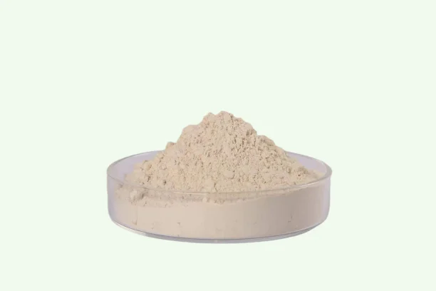 Factory supply top quality serrapeptase enzyme