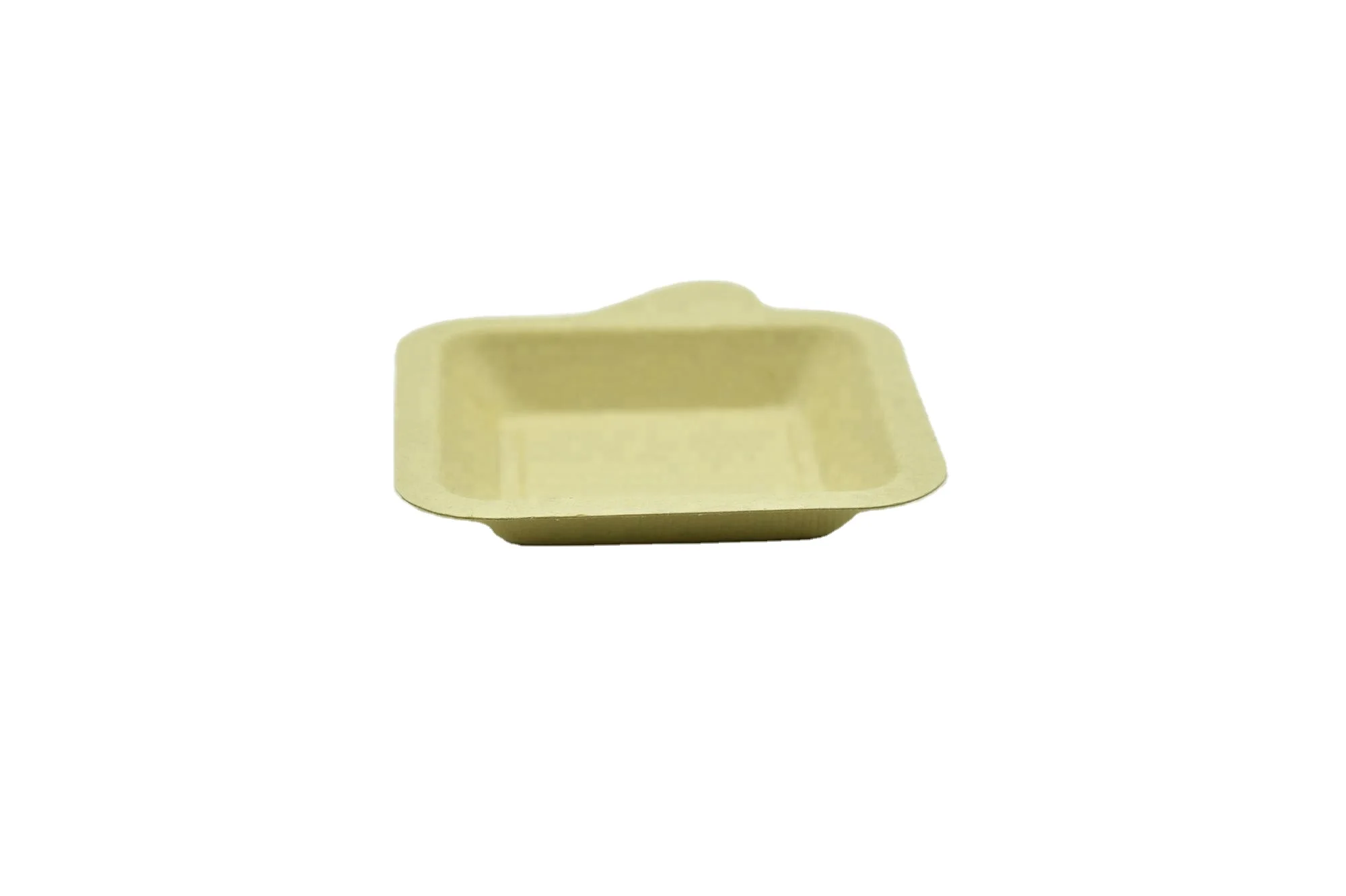 biodegradable disposable sugarcane bagasse food tray cake tray bamboo tray