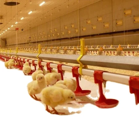 poultry automatic nipple drinking system H chicken cages