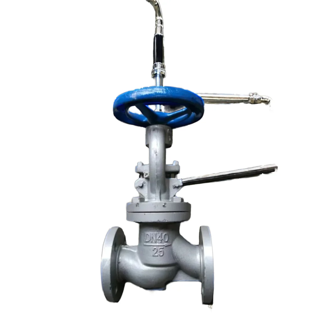 China Foundry Supplier Cast Steel Iron Gate Valve Body Resin Sand Casting