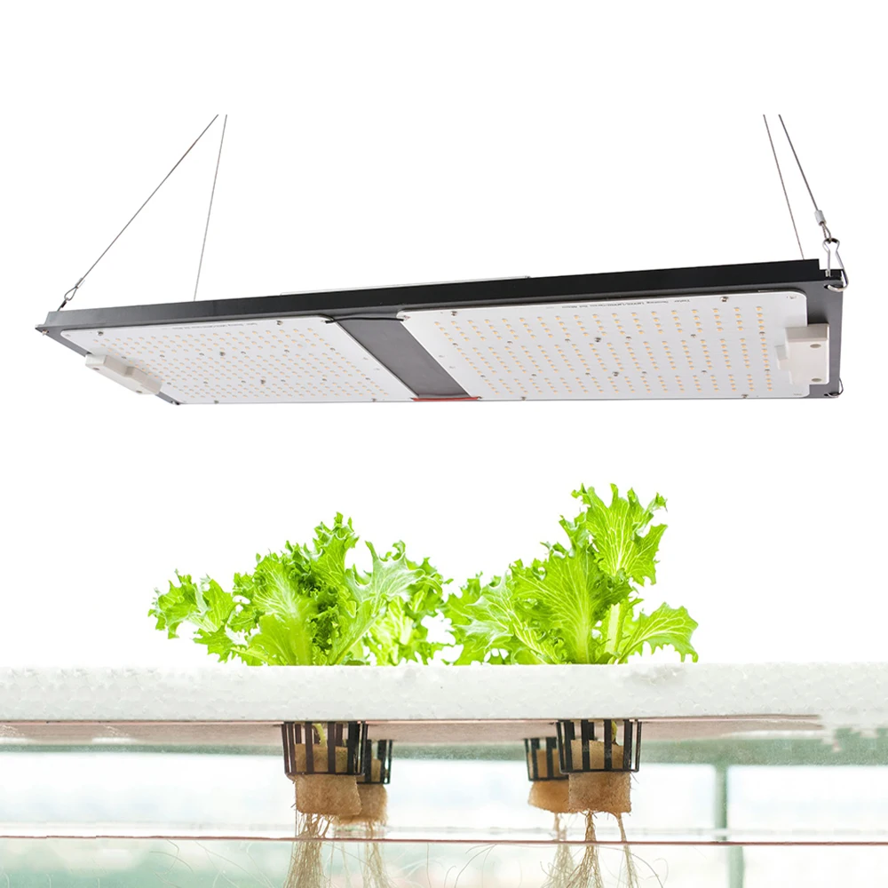 
Fast Shipping Warehouse Full Spectrum Greenhouse Led grow lights Indoor Grow light For Planting 