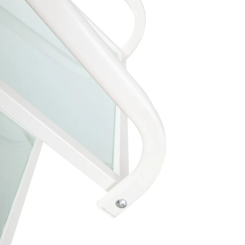 cheaper Glass beauty trolley. the tray is glass and the framework is iron . very durable salon tolley