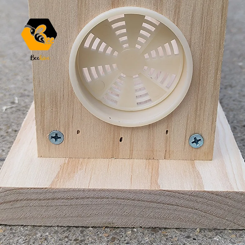 Observation Beehive with Carry Handle Ventilation Holes for Teaching in New Zealand Pine