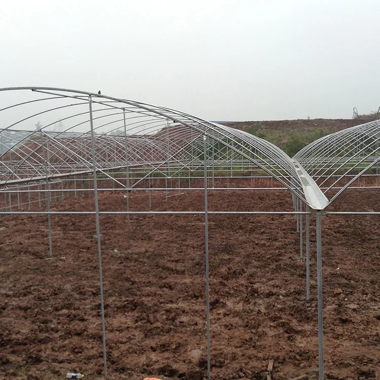 Automatic Multi Arch Multi-span Agricultural Greenhouses With Hydroponics Equipment Greenhouses
