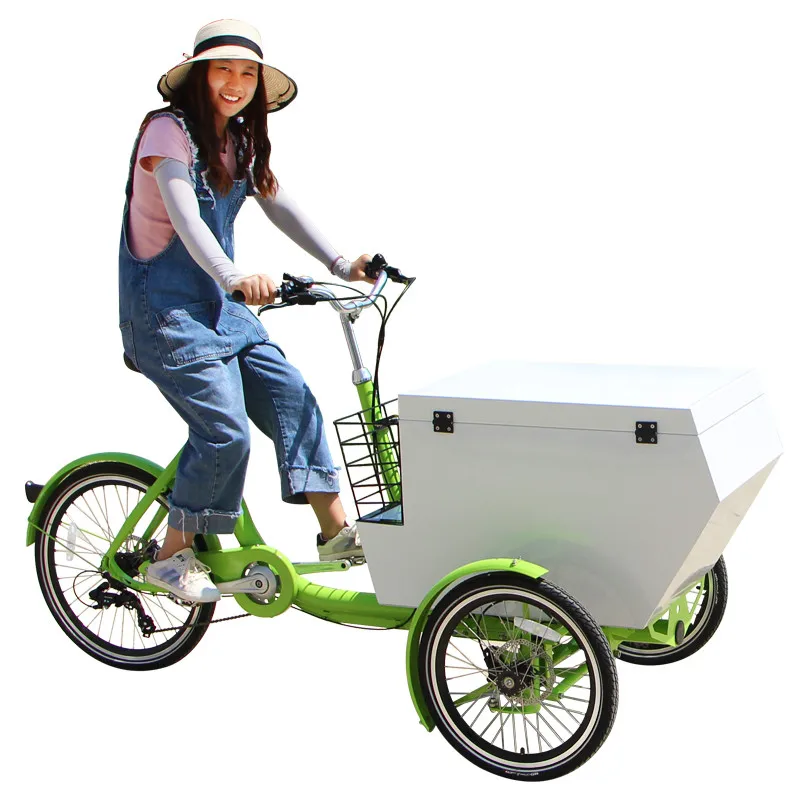 Express Cargo Bike 3 Wheel Cargo Trike China Manufacture