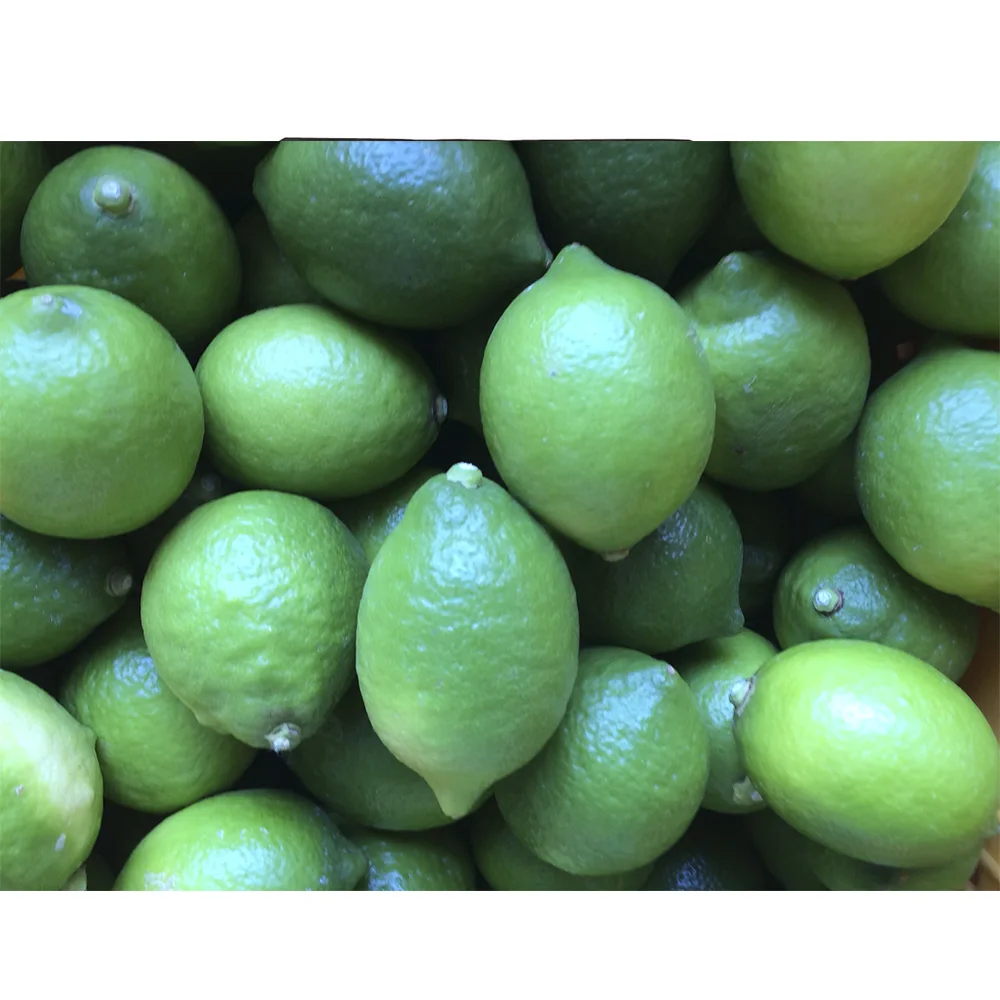 Vitamin c Mix Energy Powder Instant Powder Fruit Powdered Drink For Sale