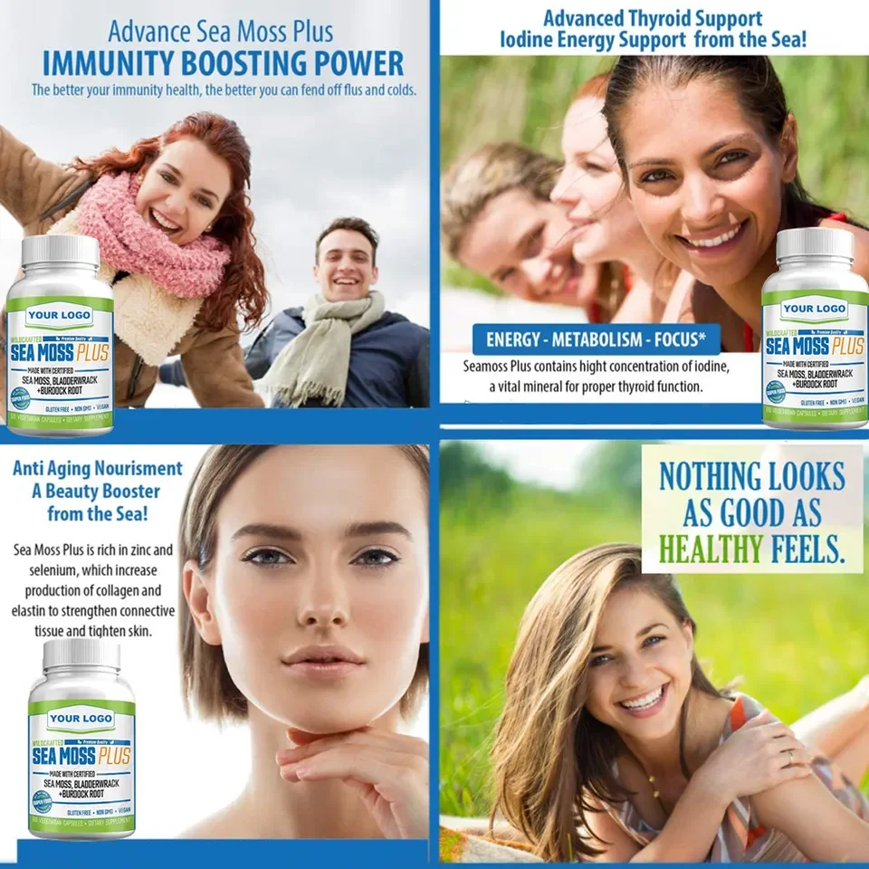 Sea Moss Pills Certified Organic Irish Seamoss Capsules Bladderwrack Irish Sea Moss Capsules