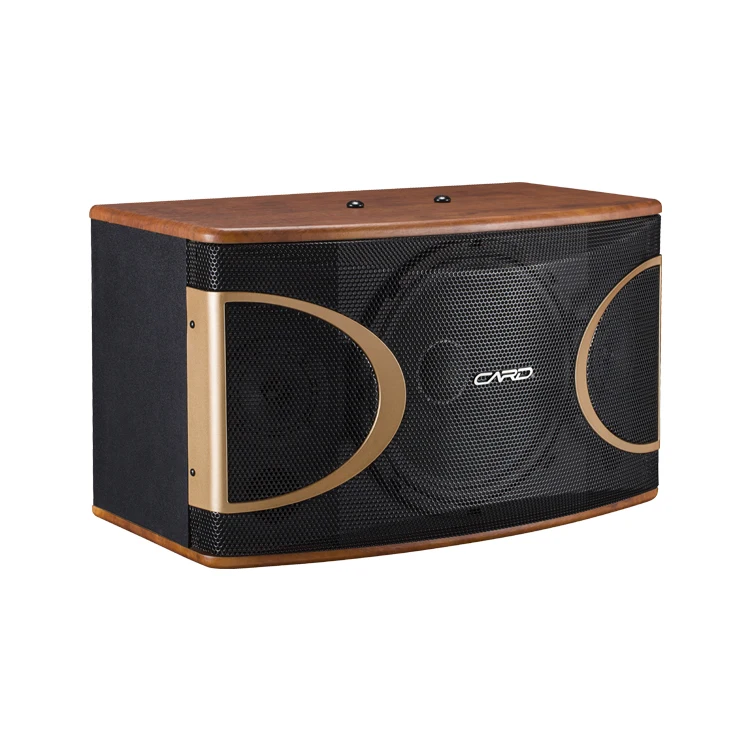 CARD Studio Speaker 10 Inch Audio passive Karaoke Speaker System