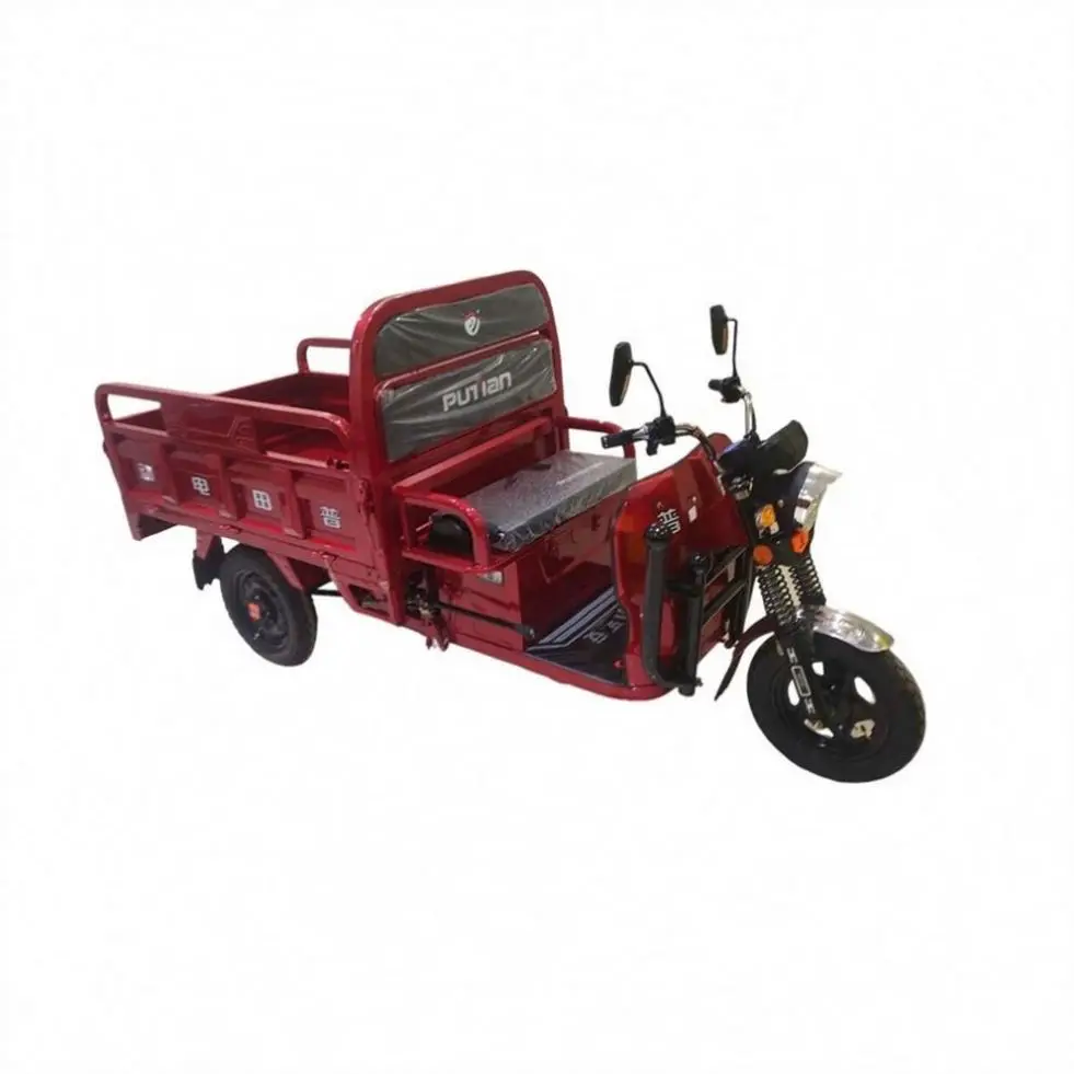 Foldable 100Kg 3 Wheel Electric Tricycle Ice Cream Bike for Sale