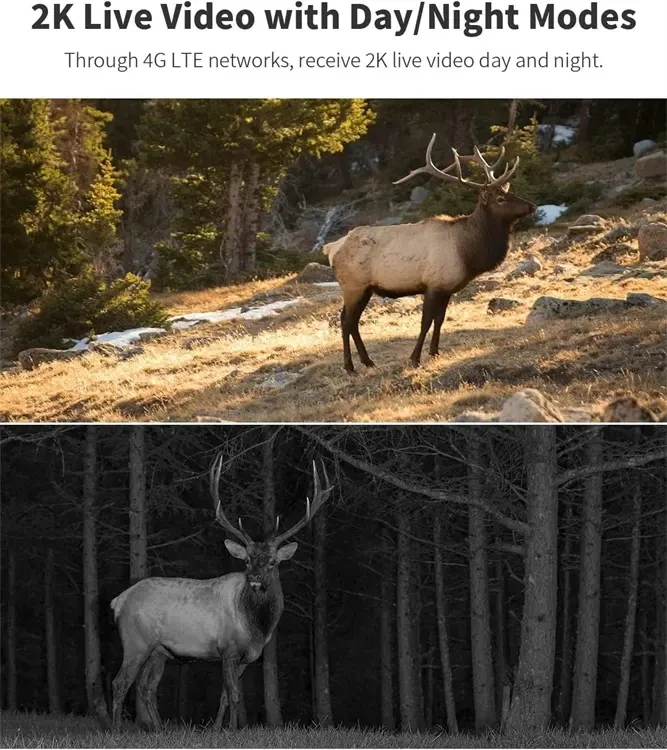 4G Sim Card 1080P Ptz Pir Outdoor Night Vision 10400mAh Battery Solar Panel Hunting Trail Camera