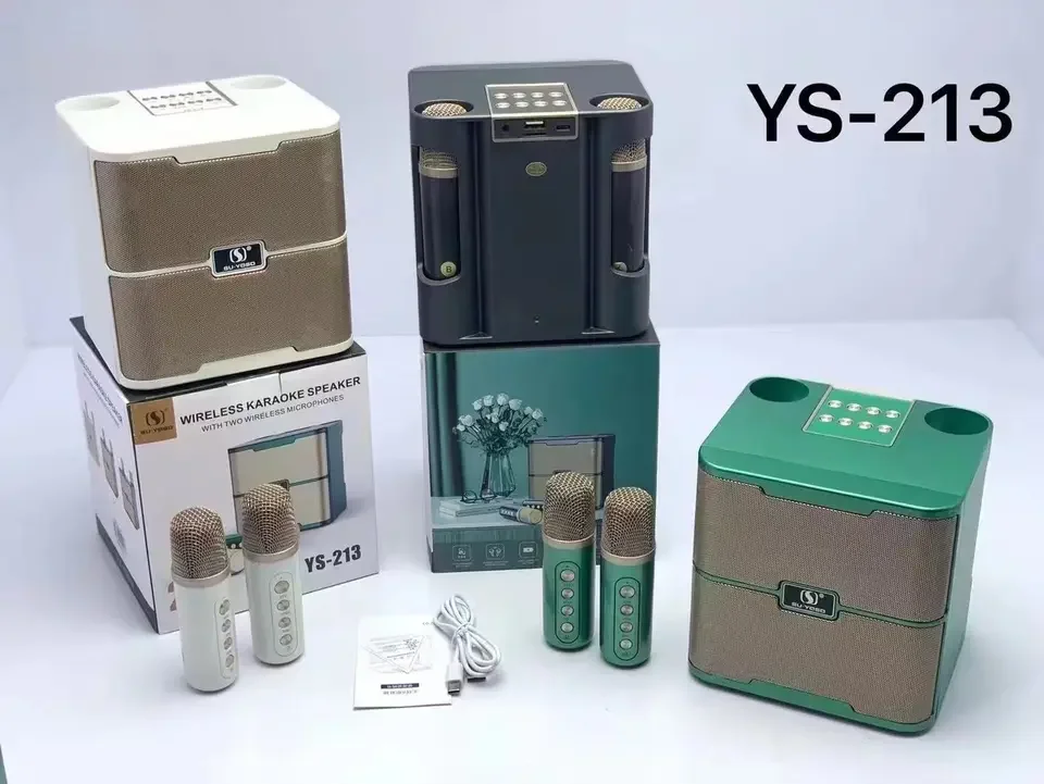 Оптовая продажа настольный сабвуфер колонки YS213 с двойными беспроводными микрофонами семейная Портативная колонка KTV BT