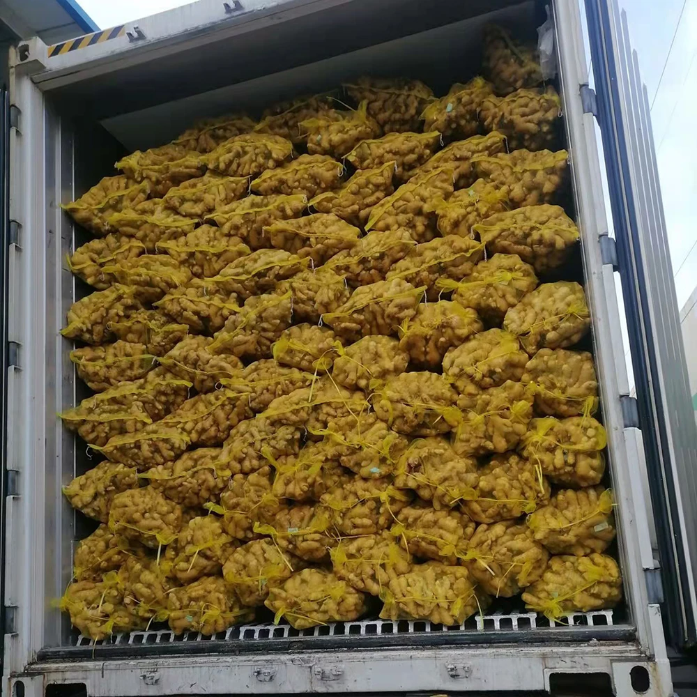 High quality of new crop Fresh ginger air dry or dried ginger root market price