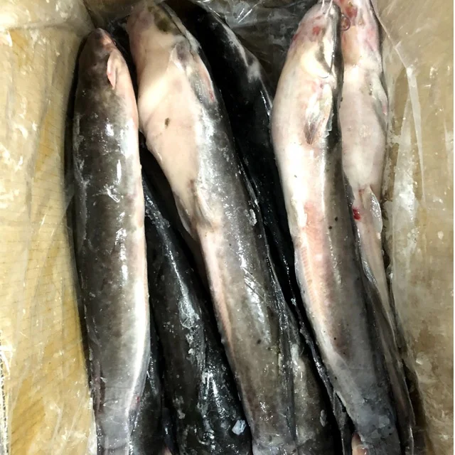 Wholesale Products China Live Catfish