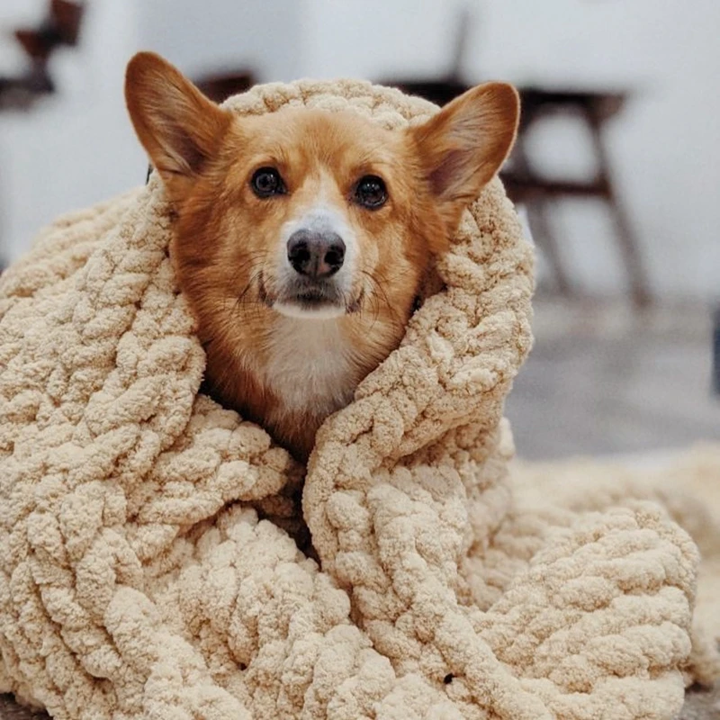 Я @ home мягкое кресло пледы производитель одеяло зима не сужающийся книзу массивный синели Роскошные Одеяло