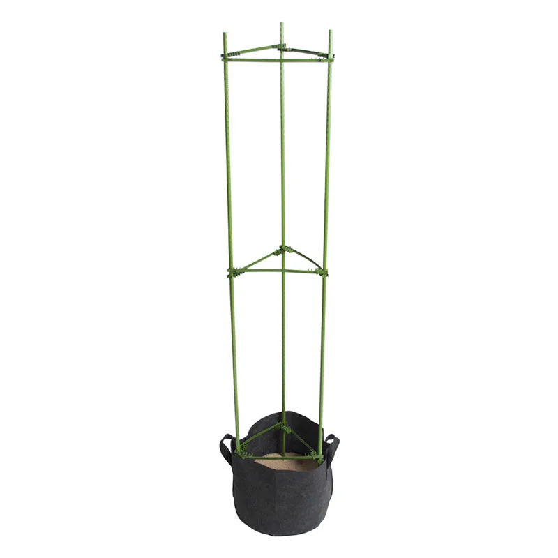 Factory Outlet Creative Wall Mounted Succulent Garden Flower Plant Tomato Cage Climbing Frame
