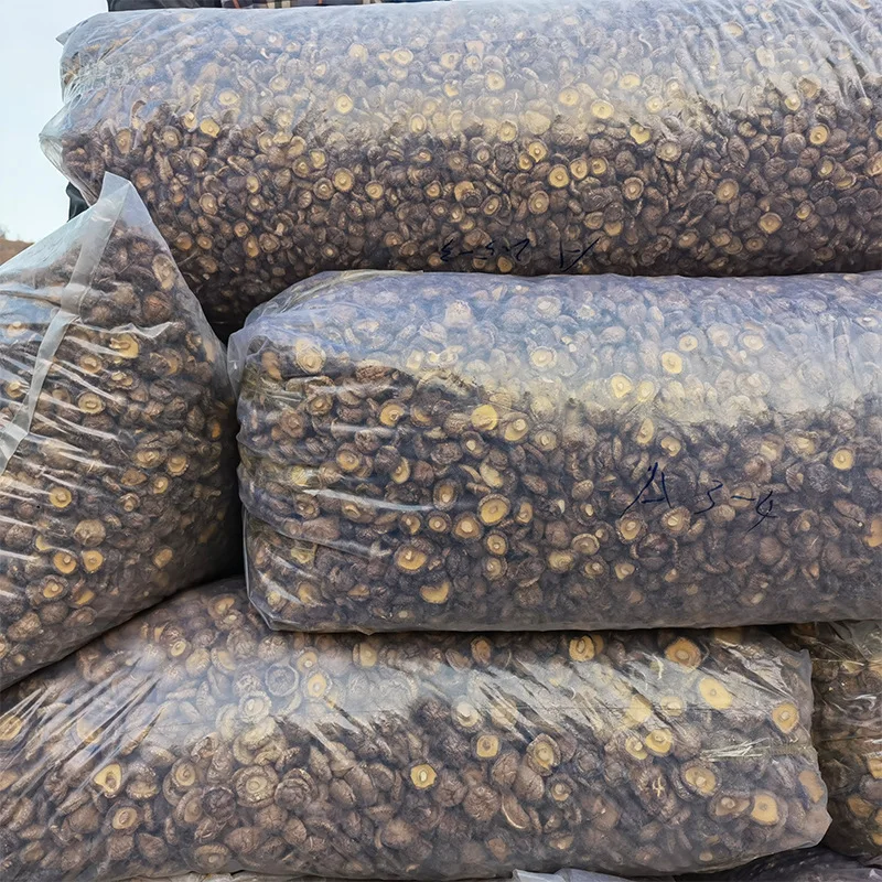 Qingchun High Quality organic Dried Shiitake Mushrooms dry shiitake mushroom