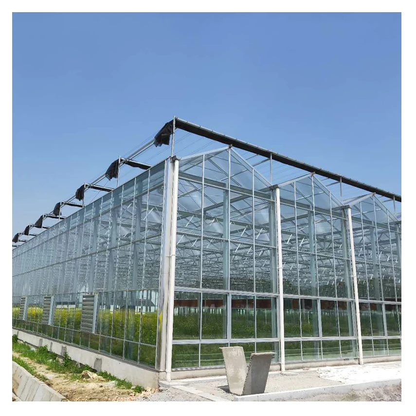 Industrial greenhouse kit hydroponics growing system agricultural glass sale for greenhouses suppliers commercial greenhouse