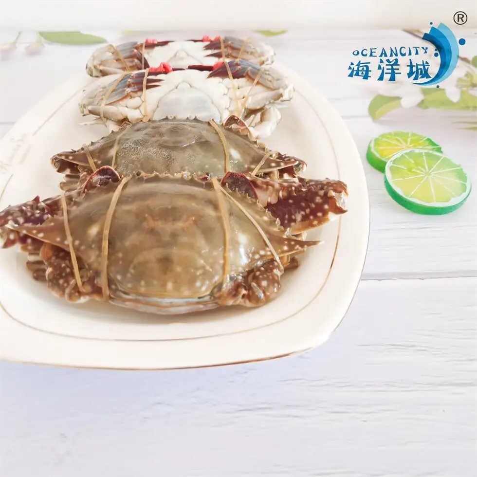 natural Fresh Frozen Seafood Swimming Crab Live Crabs Quick Freezing at -40