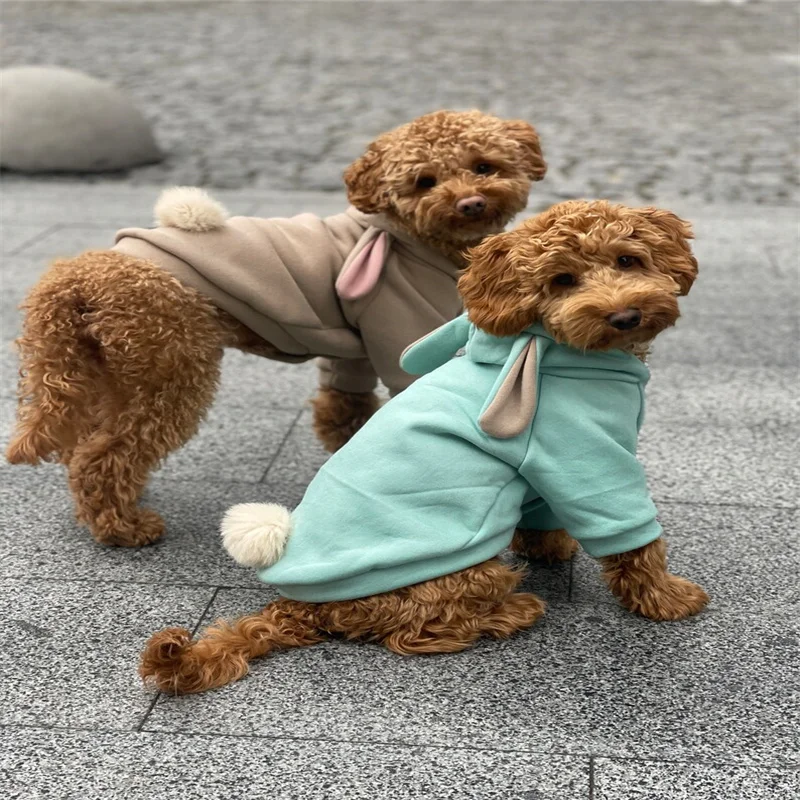 PT316  Hot sale Pet Winter Autumn cotton Hoodie rabbit ears Bull Dog hoodies Dog coat Warm Thickness Back ball