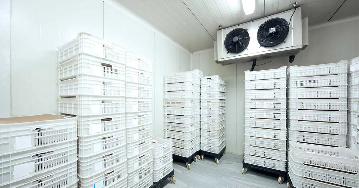 Industrial Freezer Cold Storage with Cold Room Refrigeration Unit