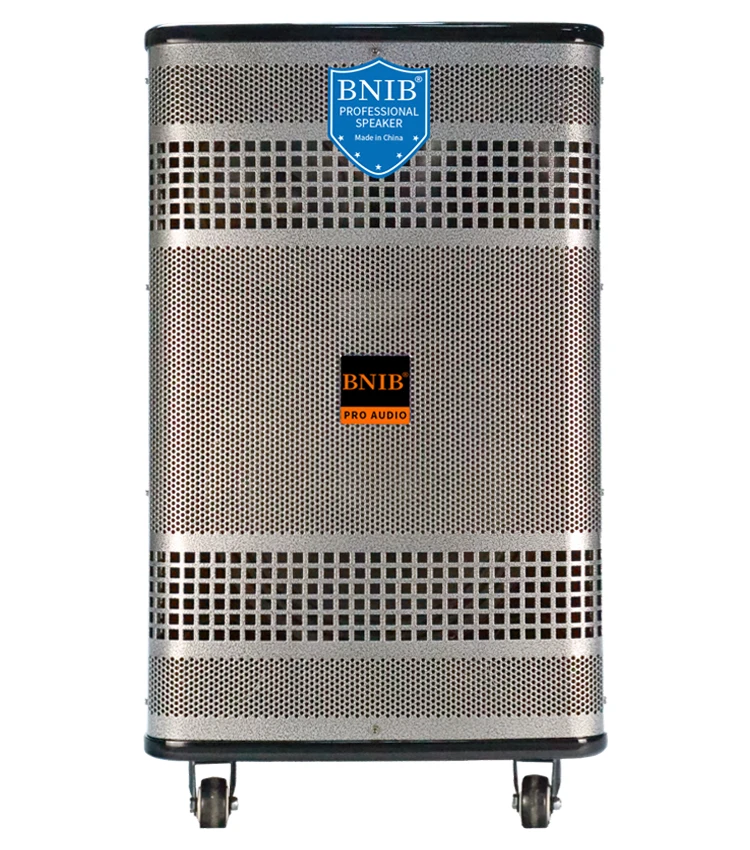 Pro Portable Big Size Speaker Wireless Trolley 15 INCH Loudspeaker Outdoor Stage Big Power 1000W Boombox Blue-tooth TF card