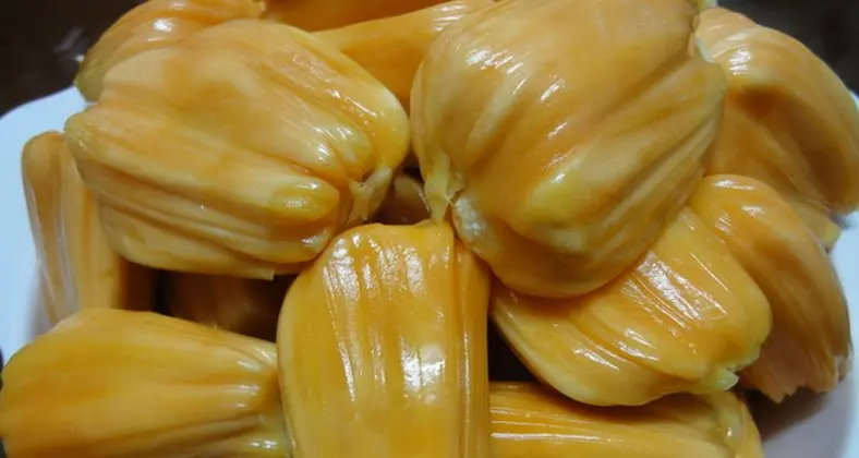 FROZEN JACKFRUIT THE BEST QUALITY FROM VIETNAM 2021