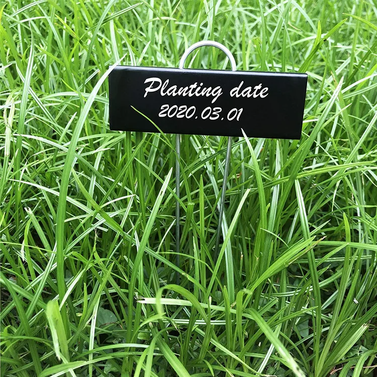 Stainless steel plant Label  Plant Marker Plate Gardening Nursery Accessories Plant tags metal label stakes