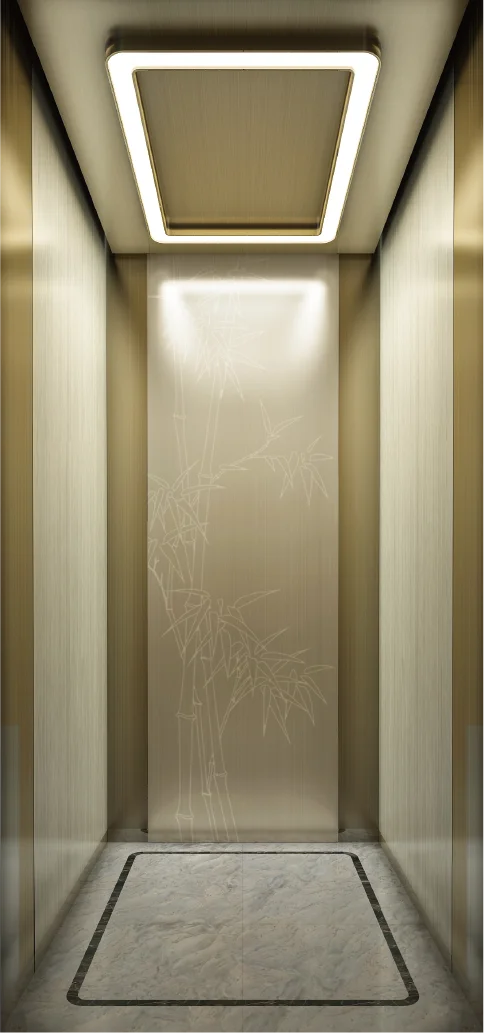 Top Company Hot Sale Passenger Elevator With ge
