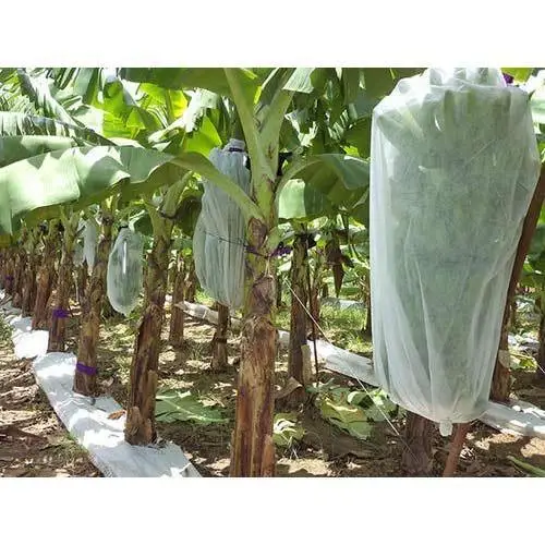 agriculture  pp spun bond fabric spun lace fabric non woven fabric for green house and  straw berry protective bag
