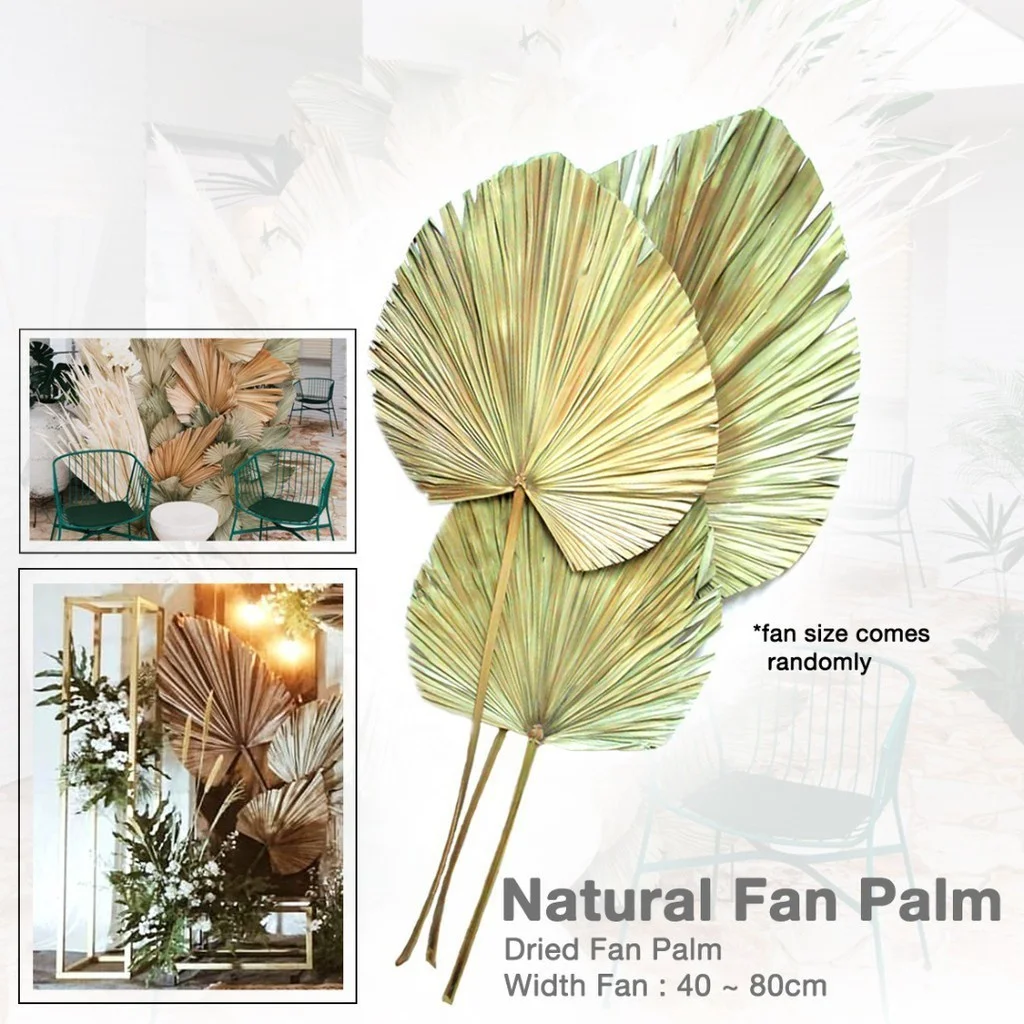 2022 New Arrivals Home Wedding decoration Flower dried palm leaves Dried flower wholesale for A-mazon
