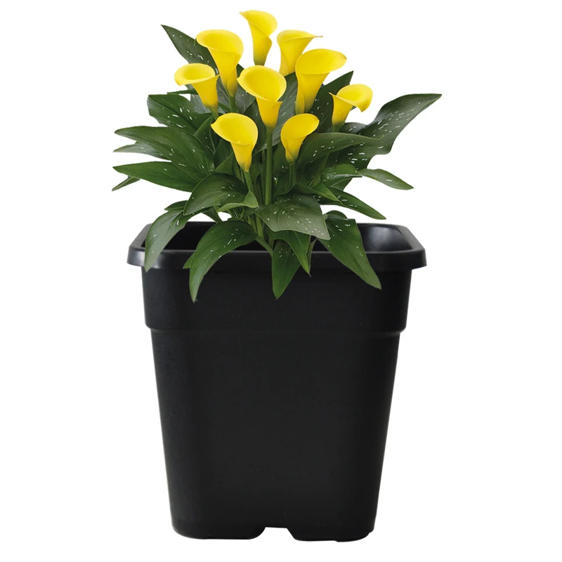 Factory wholesale Durable Seeding Square Citrus De Fleurs 1 2 3 5 6 7 10 15 20 25 Gallon Black Plant Pots Plastic Planter
