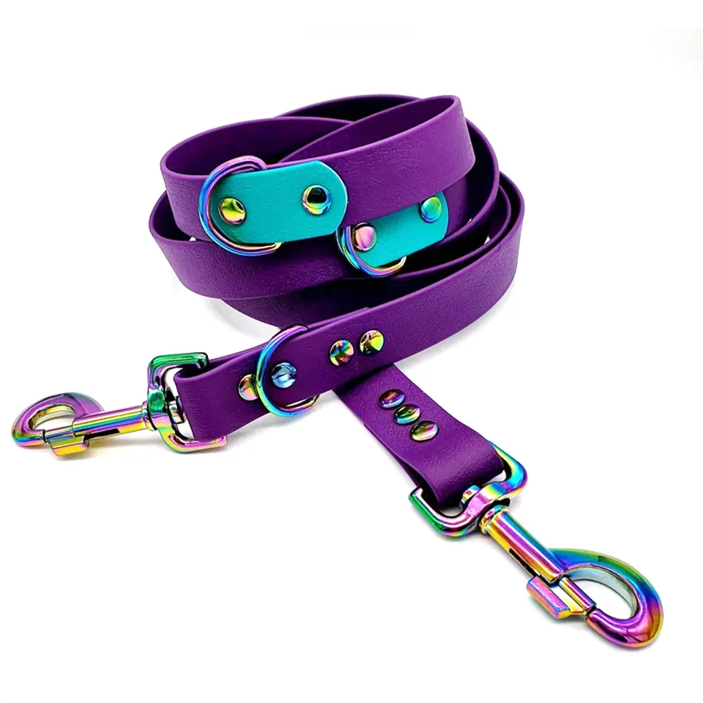 Wholesale Fashion Pet Product Custom Silicone PVC TPU Coated Fancy Waterproof Pet Collar And Leash