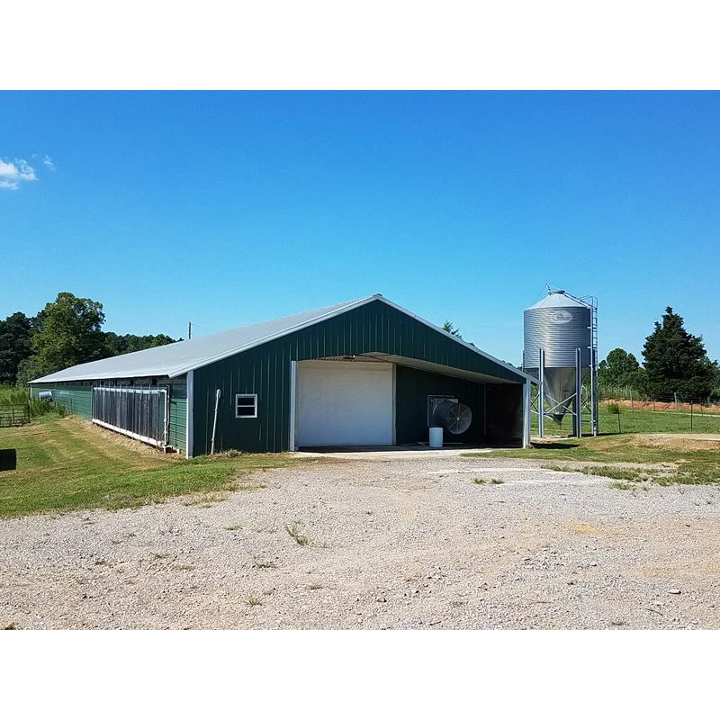 Сборная куриная ферма Современная яичный слой птицефабрика дизайн для куриной