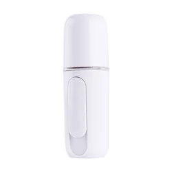 TOP Hot Selling Mini Portable Pocket Handy Negative Ion Facial Moisturizing Sprayer Facial Nano Mist Sprayer