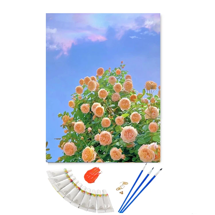 Custom Gift DIY Oil Painting By Numbers Beautiful Flowers Drawing On Canvas With Frame Paint By Number Wall Decor For Adults