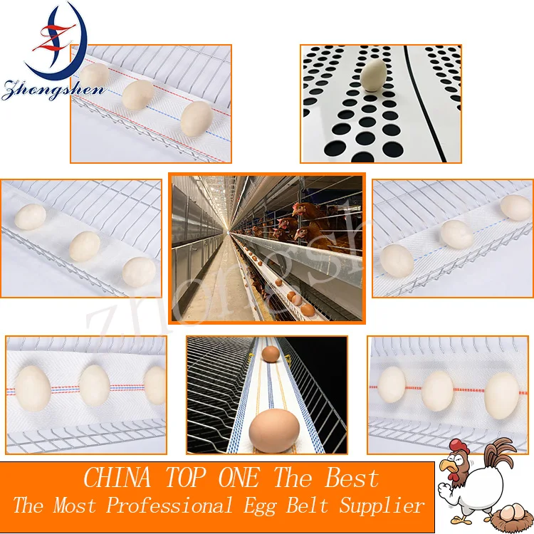 Popular Wholesale Egg Conveyor Belt for Automatic Egg Collecting System in Poultry Farm
