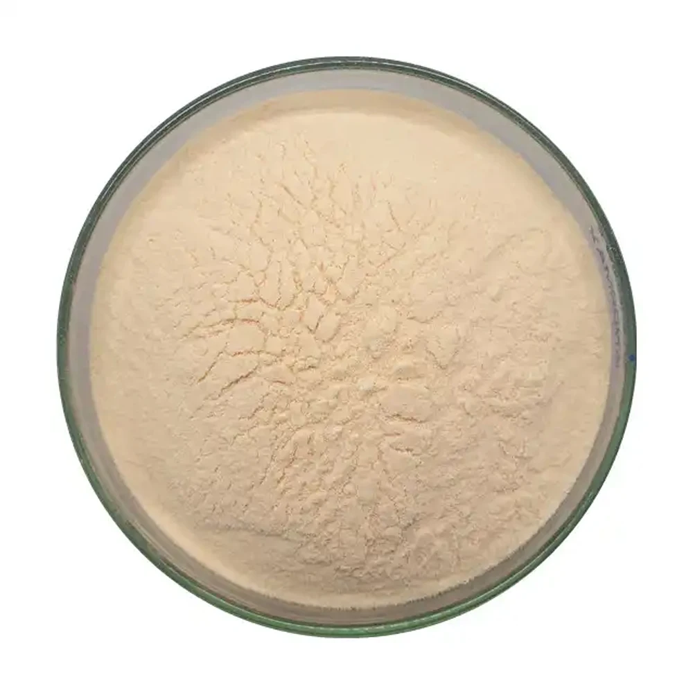 No Additives Papaya Juice Powder