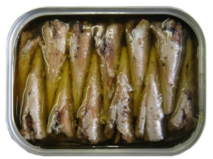 
Canned Sardine best price for sale 