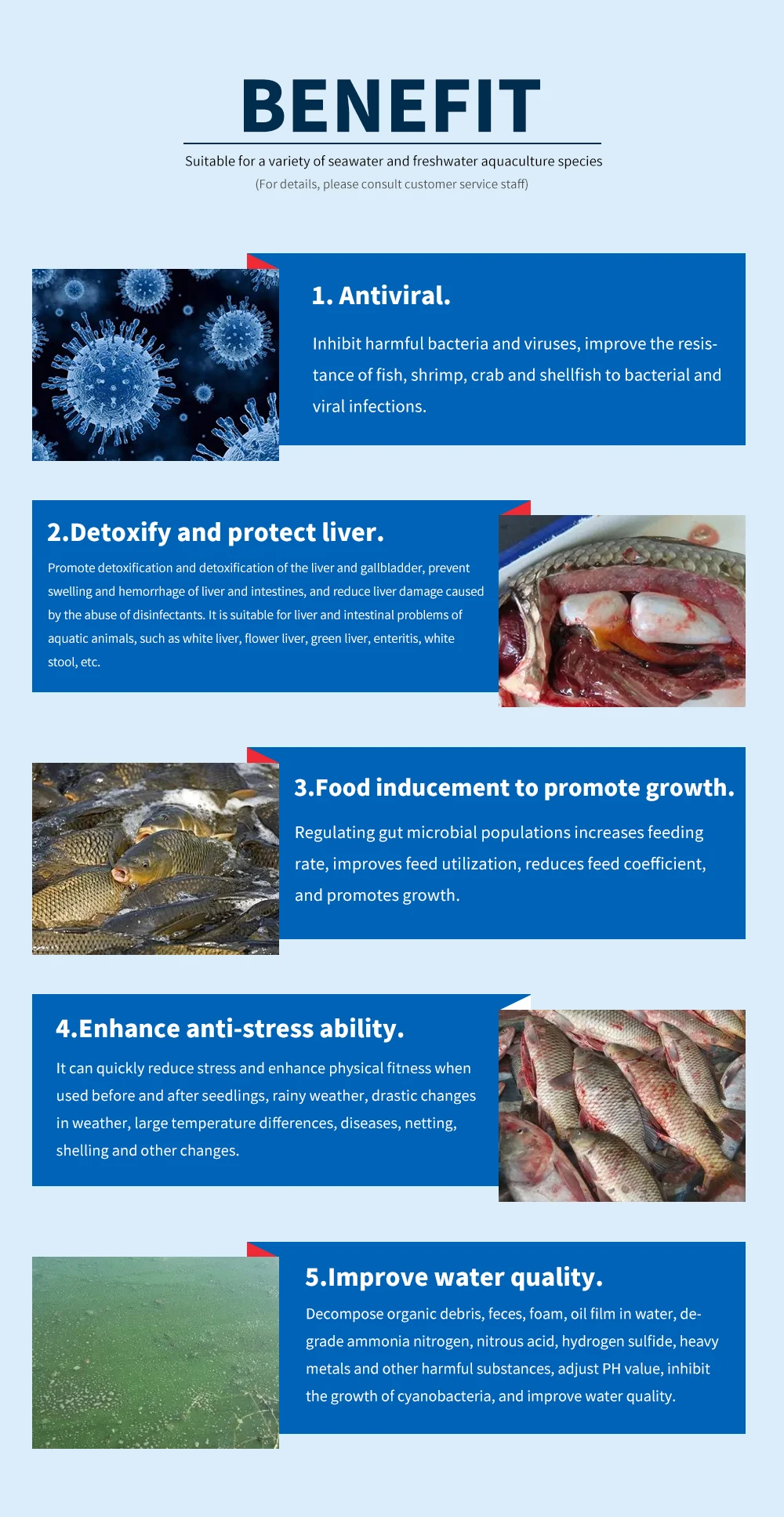 hormone fish for tilapia fish grower premix additives healthy growth