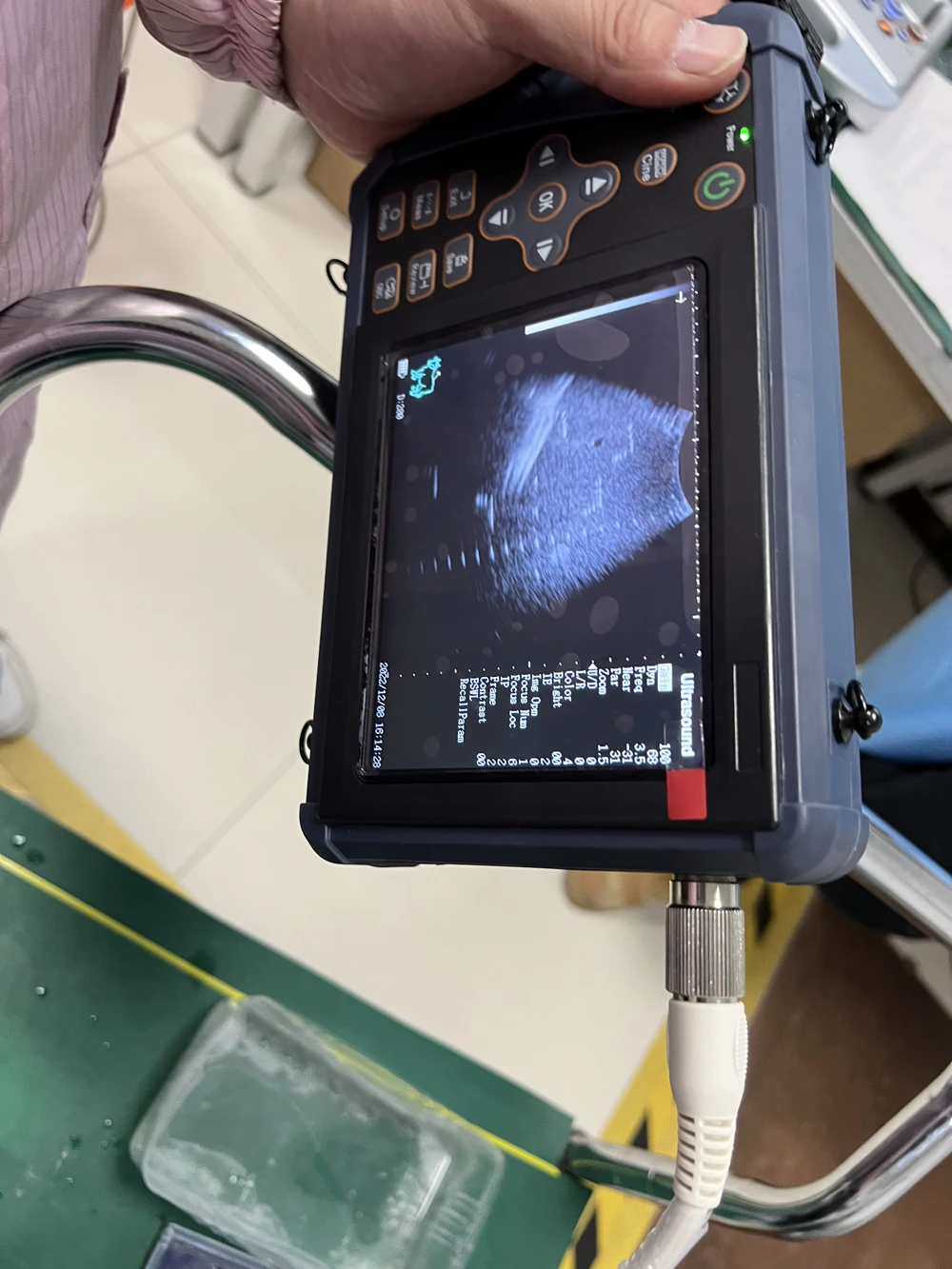 S1 vet ultrasound 10.jpg