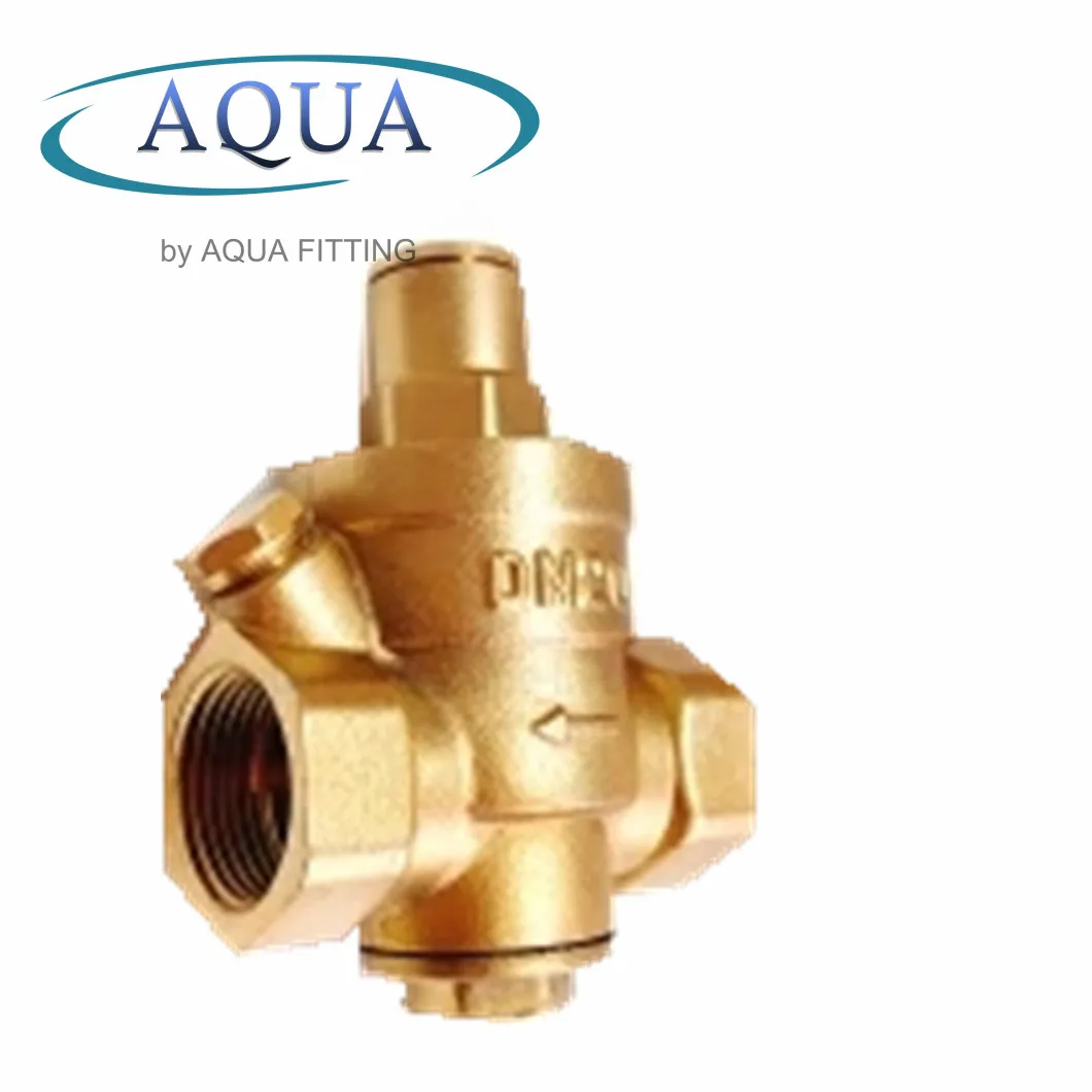 Pressure Reducing Control & Cryogenic Valve Industrial Cooling Valve