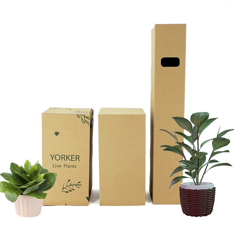 Custom Design Eco-friendly Corrugated Paper Box with Insert Custom Size Packaging Plant Display Shipping Boxes with Handle
