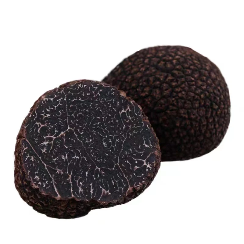 Detan оптовая продажа свежий черный трюфель дикий гриб melanosporum высокого качества