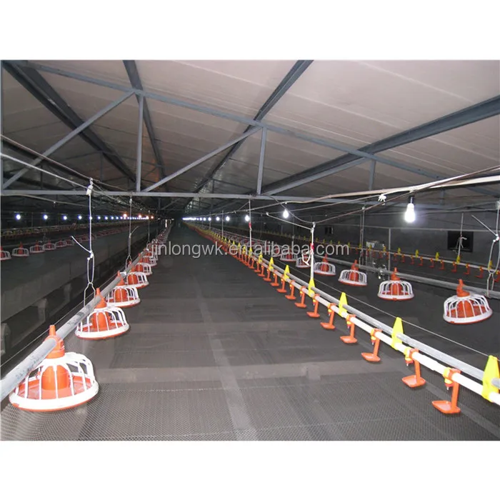 best selling poultry cages feeding system chicken feeders and drinkers with high quality