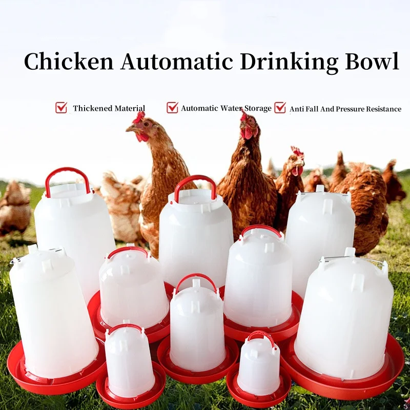 Factory Sale Strong And Durable Thickened Mesh Poultry Feeding Equipment Birds Pigeon Quail Chicken Automatic Poultry Feeder